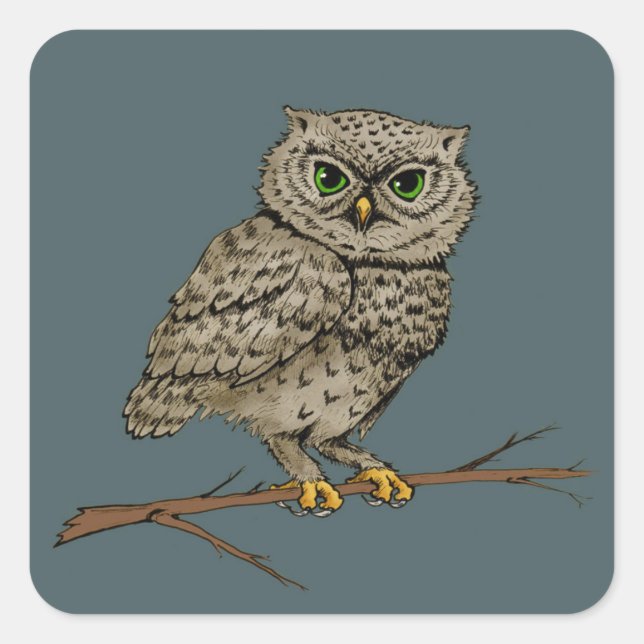 Sticker Carré Hibou aux yeux verts (Devant)