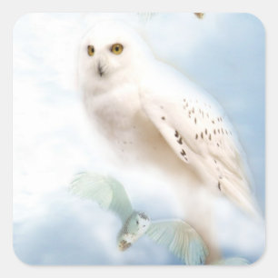 Sticker Carré Hibou de Milou