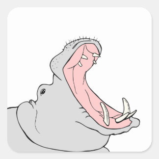Sticker Carré Hippo affamé