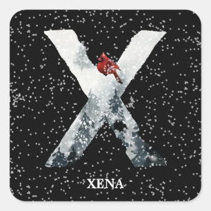 Sticker Carré Hivernal Wonderland Alphabet X Monogramme   Oiseau