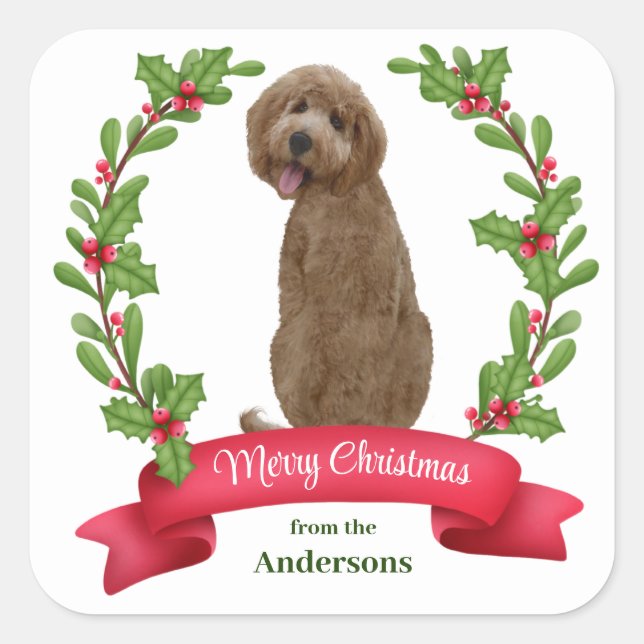 Sticker Carré Holly Banner Labradoodle Chien Noël (Devant)