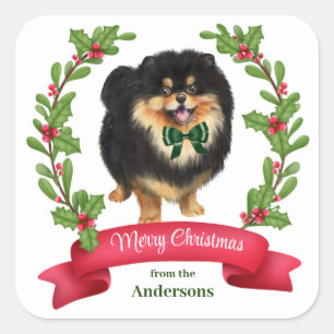 Sticker Carré Holly Banner Noir Tan Pomeranian Noël