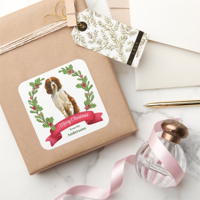 Sticker Carré Holly Banner Springer Spaniel Chien Noël (Cadeaux)