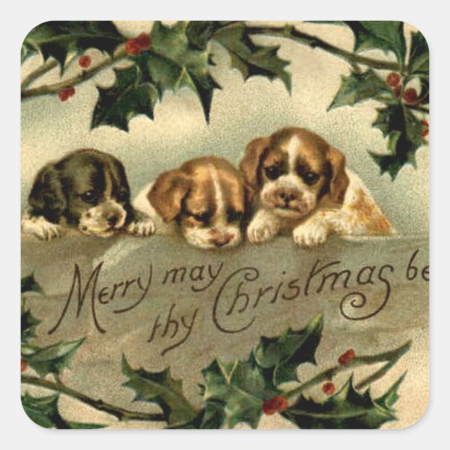 Sticker Carré Holly Puppies voeux de Noël (Devant)