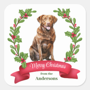 Sticker Carré Holly Wreath Chesapeake Bay Retriever Chien