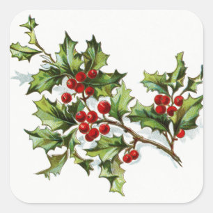 Sticker Carré HollyBerries20150802