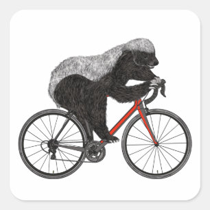 Sticker Carré Honey Badger Cycliste animal drôle Badass