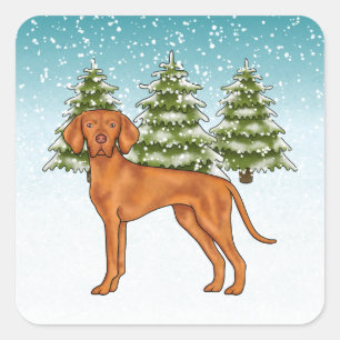 Sticker Carré Hongrois Vizsla Chien Snowy Winter Forest Festin
