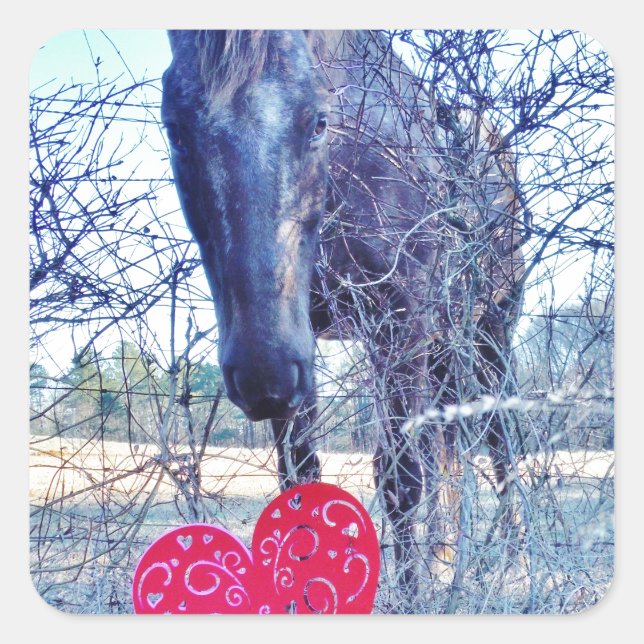 Sticker Carré Horse et heart (Devant)