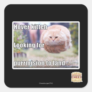 Sticker Carré Hover kitteh