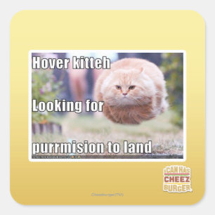 Sticker Carré Hover kitteh