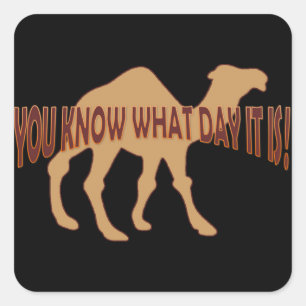 STICKER CARRÉ HUMP DAY HUMP DAY CHAMEAU