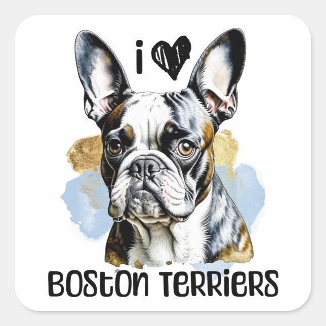 Sticker Carré I Love Boston Terriers (Devant)