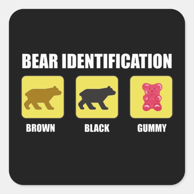 Sticker Carré Identification de l'ours drôle (Devant)