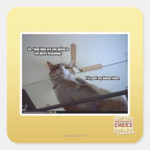 Sticker Carré Il est plus tard que mon dîner