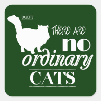 Sticker Carré Il N'Y A Pas De Chats Ordinaires