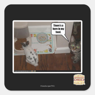 Sticker Carré Il y a des lièvres en ma nourriture