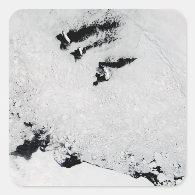 Sticker Carré Îles Balleny, près de l'Antarctique (Devant)
