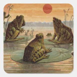 Sticker Carré Illustration de grenouilles Lily Pads Moon