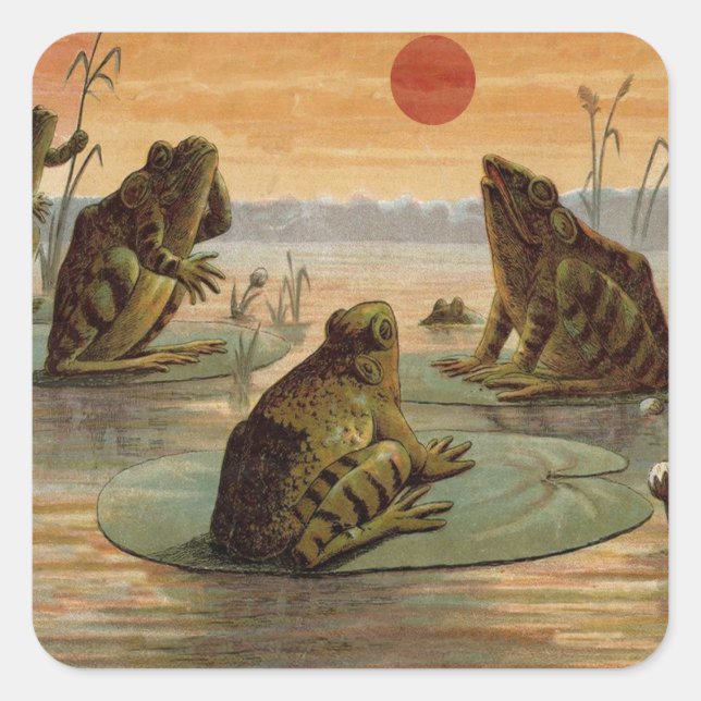 Sticker Carré Illustration de grenouilles Lily Pads Moon (Devant)