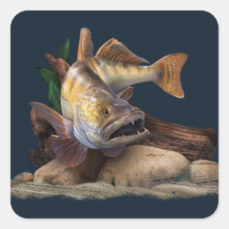 Sticker Carré Illustration de la pêche au walleye, pêcheur au wa