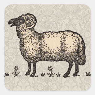 Sticker Carré Illustration de mouton vintage : Art classique de 