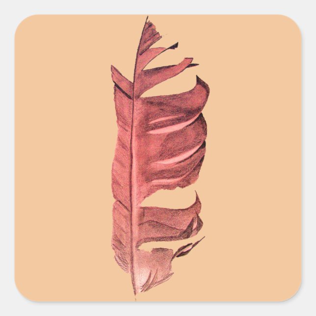 Sticker Carré Illustration originale de dessin de plumes (Devant)