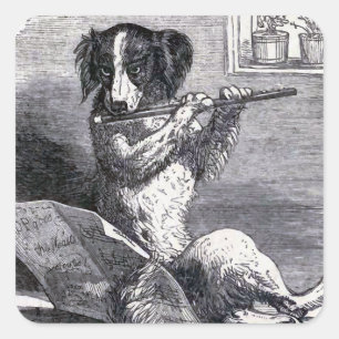 Sticker Carré Illustration Vintage "Dog Playing the Flute"