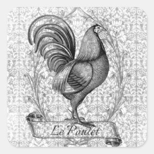 Sticker Carré Illustration vintage du poulet