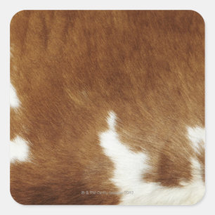 Sticker Carré Impression Brown de la vache
