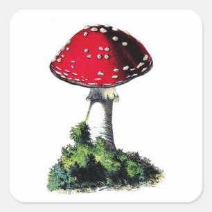 Sticker Carré Impression de champignon rouge vintage