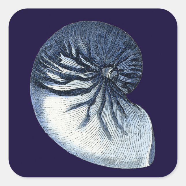 Sticker Carré Indigo Shells VII (Devant)