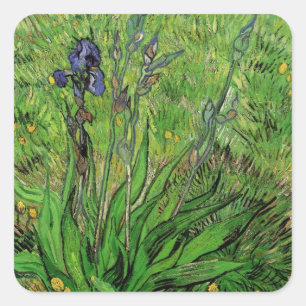 Sticker Carré Iris de Vincent van Gogh, fleurs de jardin vintage