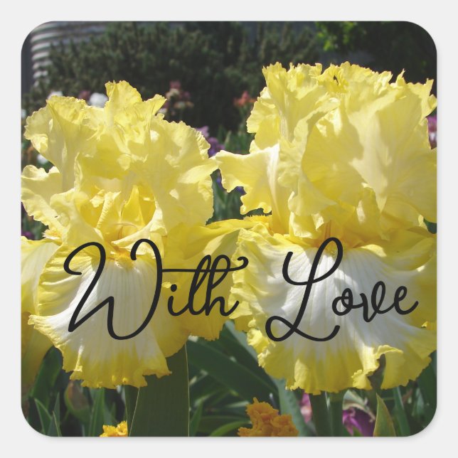 Sticker Carré Iris Iris Iris Lourds Fleurs Floral Amour (Devant)