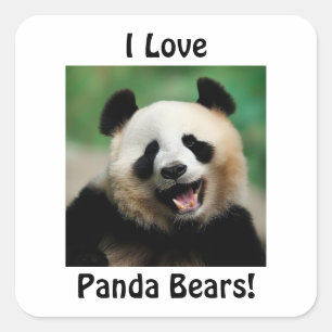 Sticker Carré J'adore les pandas