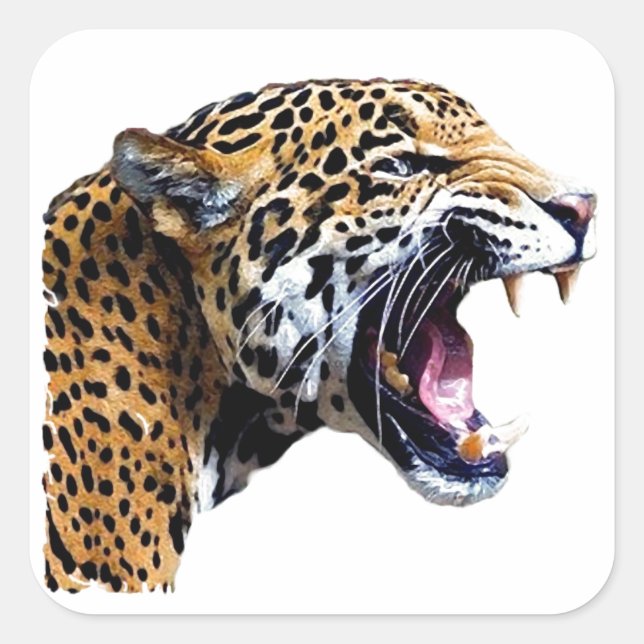 Sticker Carré Jaguar - Wild Cat (Devant)