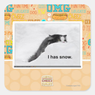 Sticker Carré J'ai de la neige.