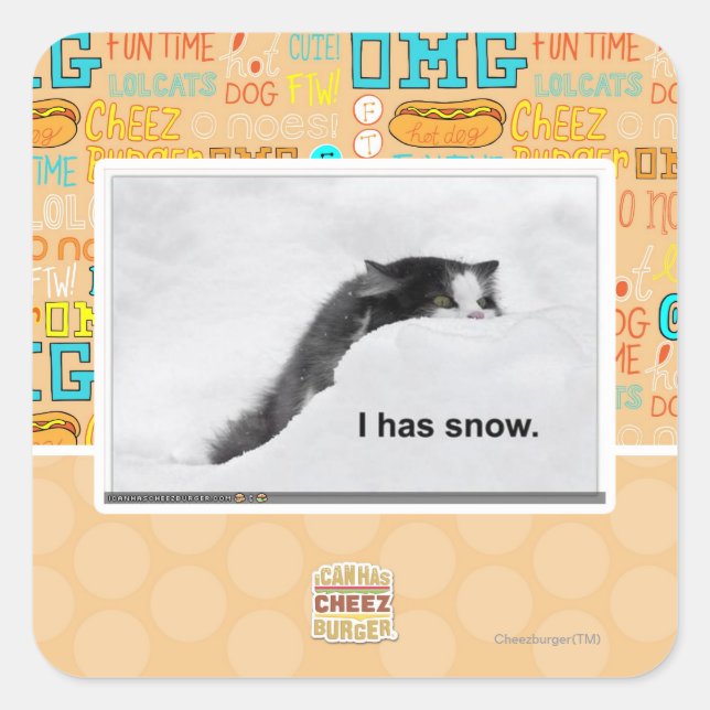 Sticker Carré J'ai de la neige. (Devant)