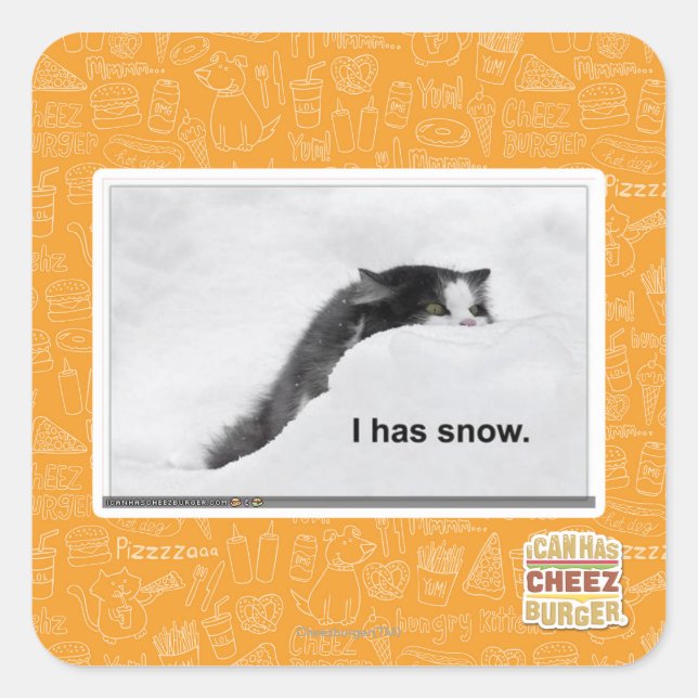 Sticker Carré J'ai de la neige. (Devant)