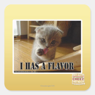 Sticker Carré J'ai une saveur