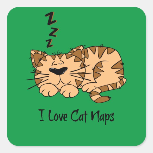 Sticker Carré J'Aime Les Naps De Chat, (Devant)