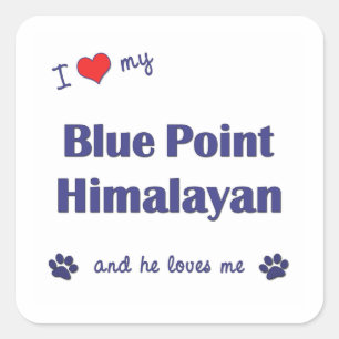Sticker Carré J'Aime Mon Point Bleu Himalaya (Chat Homme)