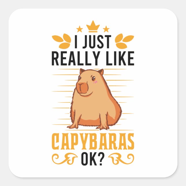 Sticker Carré J'Aime Vraiment Capybaras Ok Capybara (Devant)