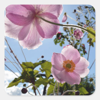 Sticker Carré Japanese Anemone