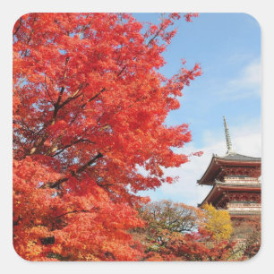 Sticker Carré Japon, Kyoto. Temple Kiyomizu en couleur d'automne