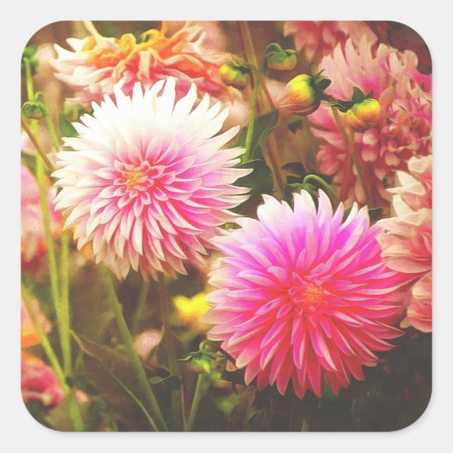Sticker Carré Jardin romantique rose Dahlia (Devant)