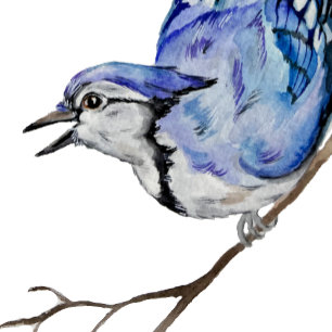 Sticker Carré Jay bleu d'oiseau de la forêt