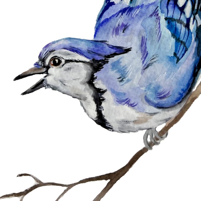 Sticker Carré Jay bleu d'oiseau de la forêt (Créateur téléchargé)