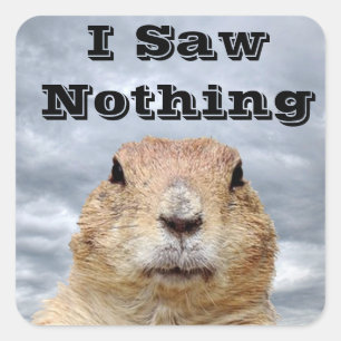Sticker Carré Je n'ai rien vu le jour de la marmotte