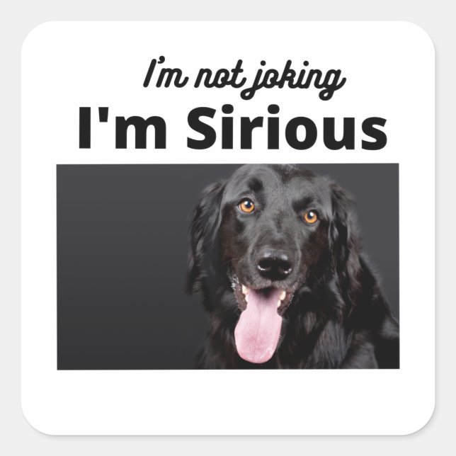 Sticker Carré Je ne plaisante pas, je suis sireux (Devant)